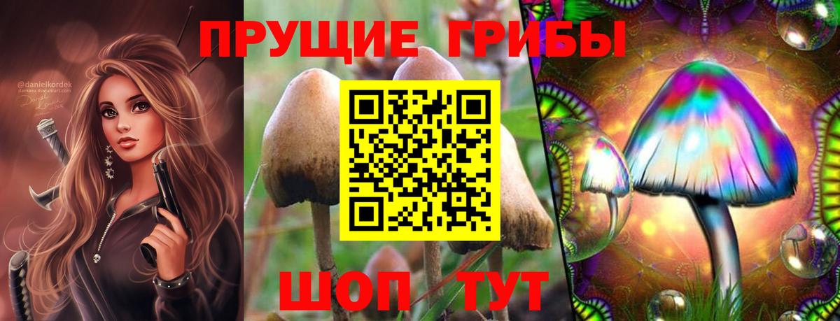 Белебей  купить закладку  Вход с VPN  Галлюциногенные грибы Magic Shrooms 